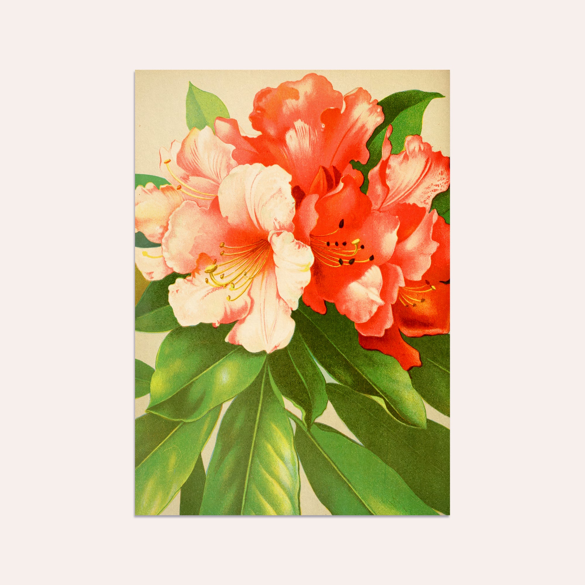 Nature 2